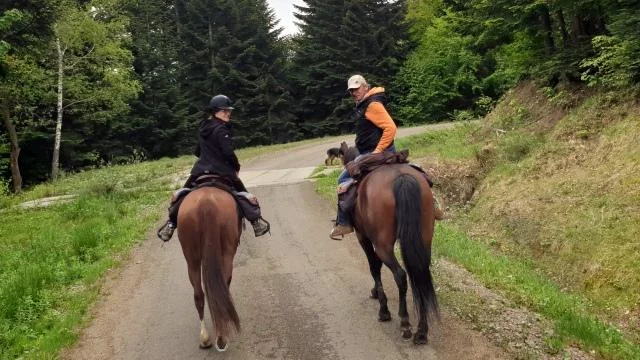 Stajnia Carpatica. Rajdy konne