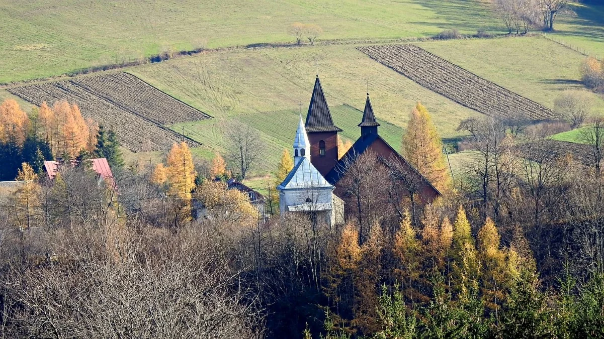 Terka późną jesienią