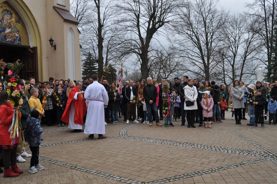 Parafianie w Przecławiu świętowali z pięknymi palmami własnego wykonania