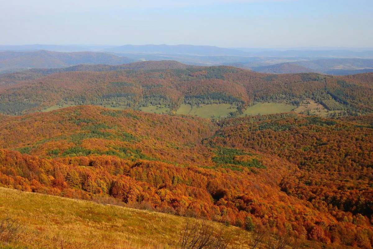 Dolina wsi Caryńskie i "morze" lasów.