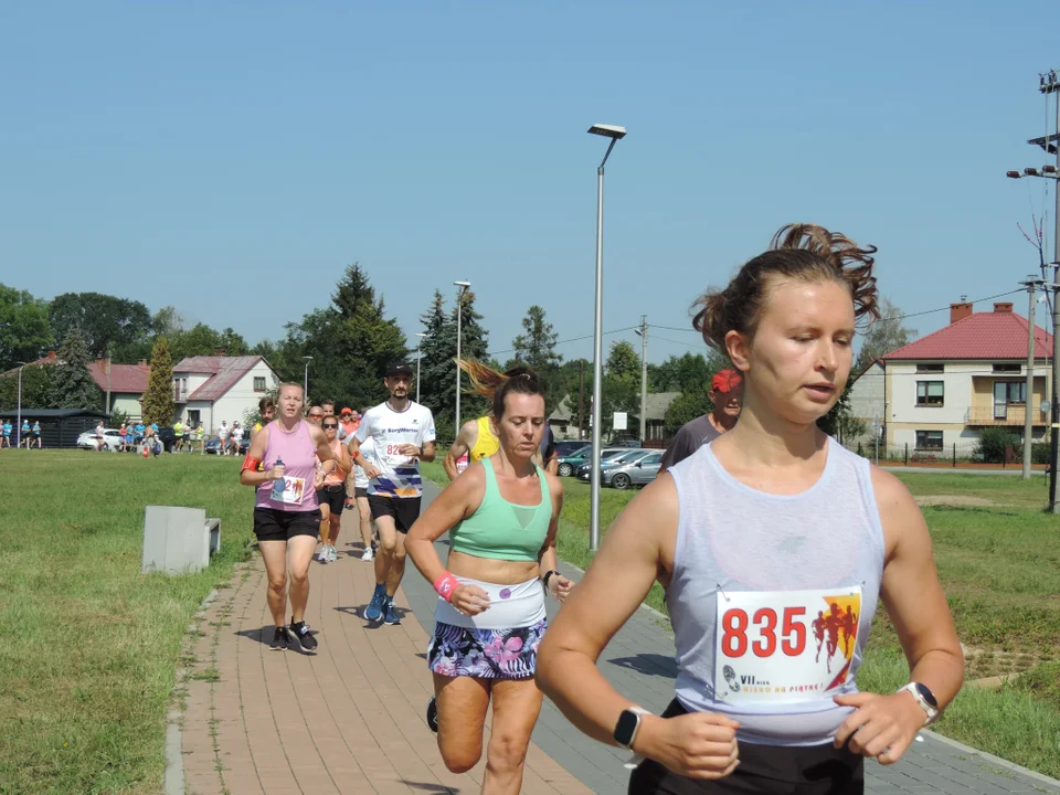 Bieg "Nisko na Piątkę" - zobacz zdjęcia