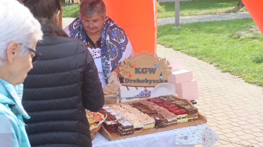 Ekologiczny piknik w Parku Jedności Polonii z Macierzą [ZDJĘCIA, WIDEO]