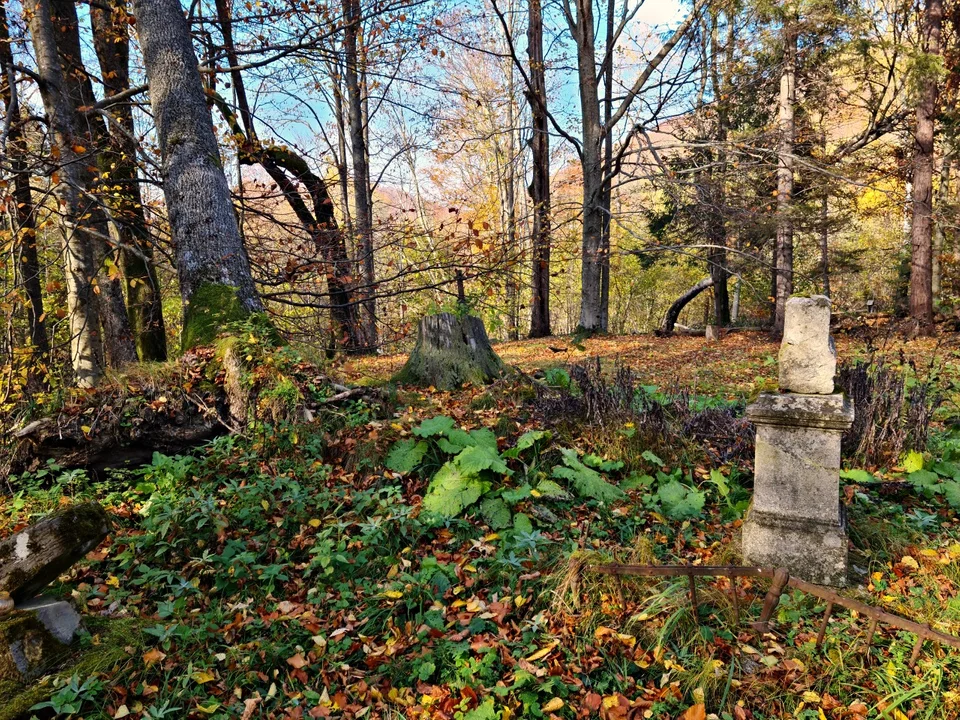 Cmentarz w nieistniejącej wsi Caryńskie