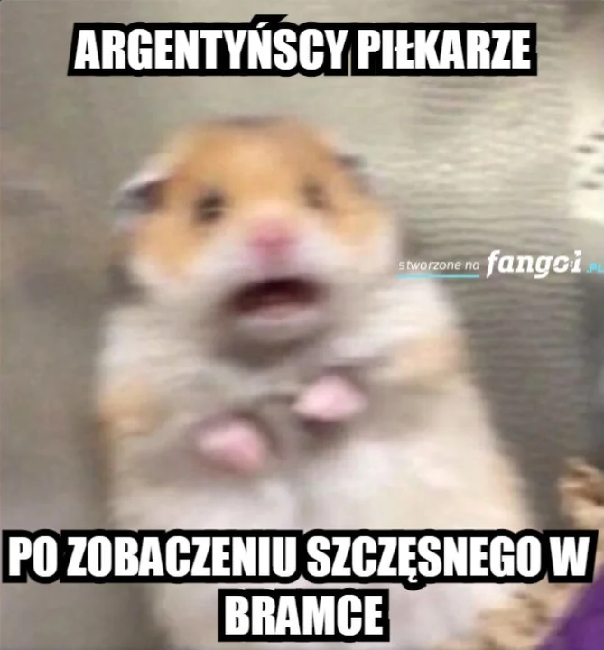 Memy po meczu Polska - Argentyna