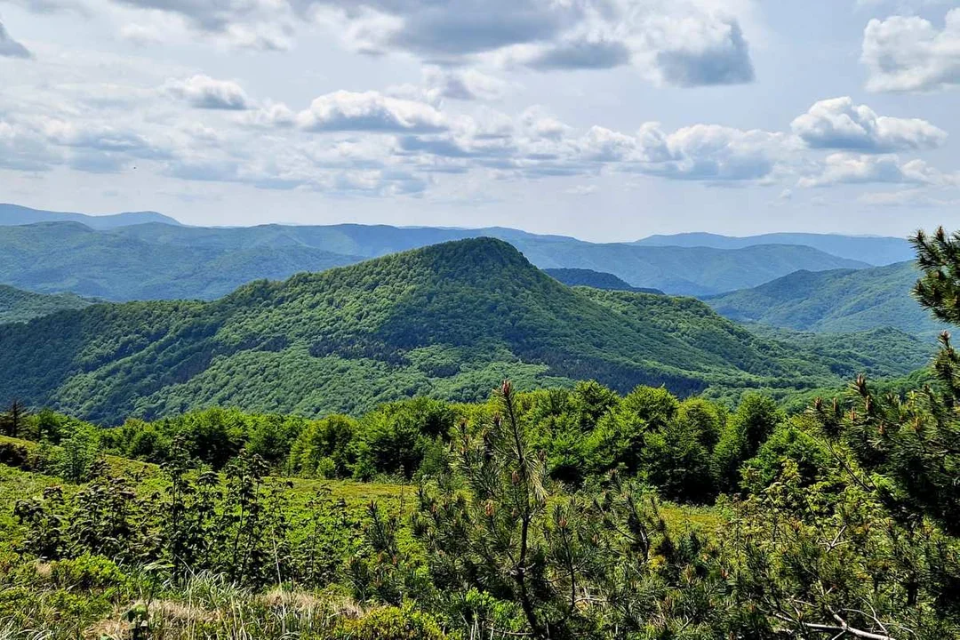 Gniazdo Tarnicy i Halicza - panorama