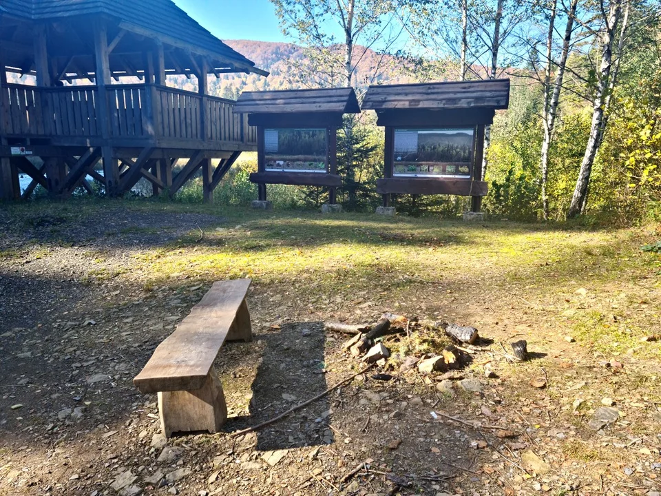 Miejsce na ognisko nad Jeziorkiem Bobrowym