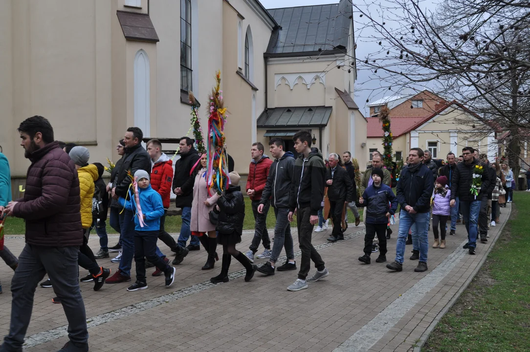 Parafianie w Przecławiu świętowali z pięknymi palmami własnego wykonania