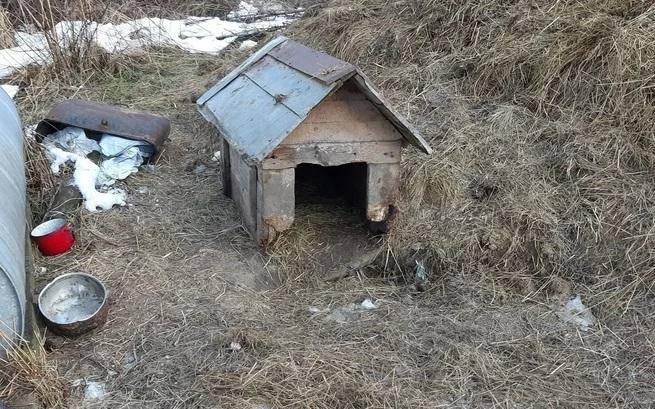 Fundacja Animals w Mielca interweniowała w Cmolasie