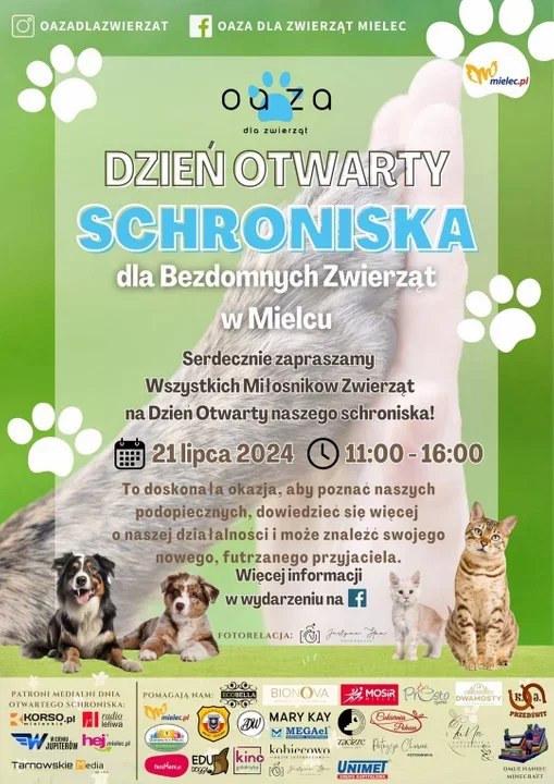 Dzień otwarty schroniska Pies i Kot