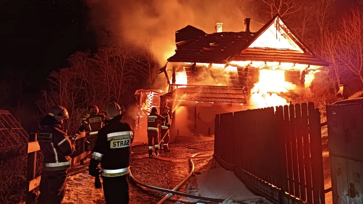 Nocny pożar domków letniskowych koło Jeziora Solińskiego [ZDJĘCIA] - Zdjęcie główne