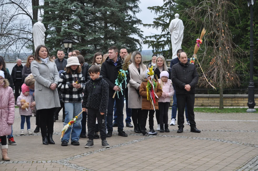 Parafianie w Przecławiu świętowali z pięknymi palmami własnego wykonania