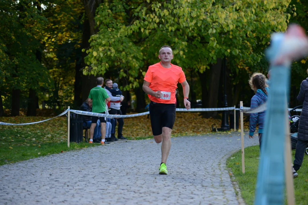 44. Bieg Nadwiślański Baranów Sandomierski - Tarnobrzeg - zdjęcia z biegu głównego