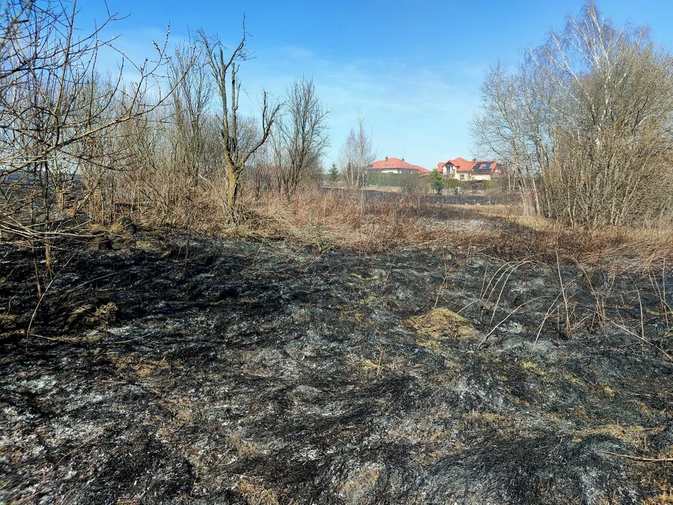 Pożar trawy przy obwodnicy Sanoka