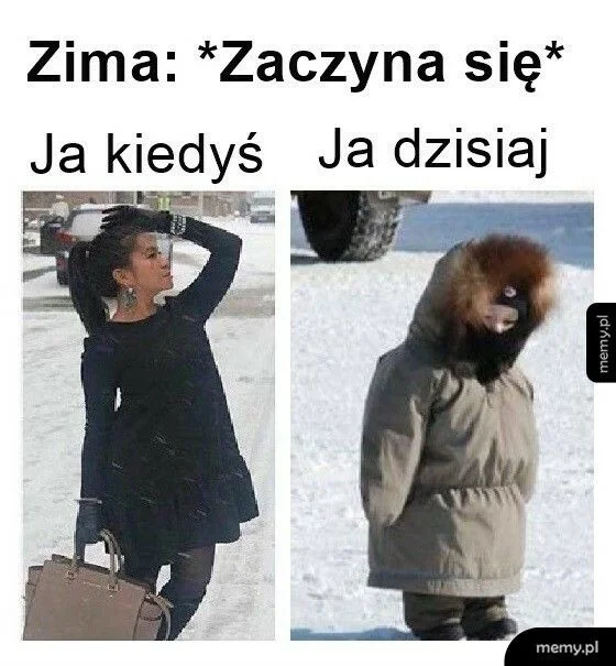 Memy na zimę