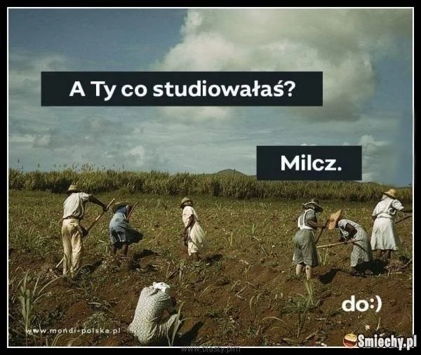 Najlepsze memy o studiach i studentach