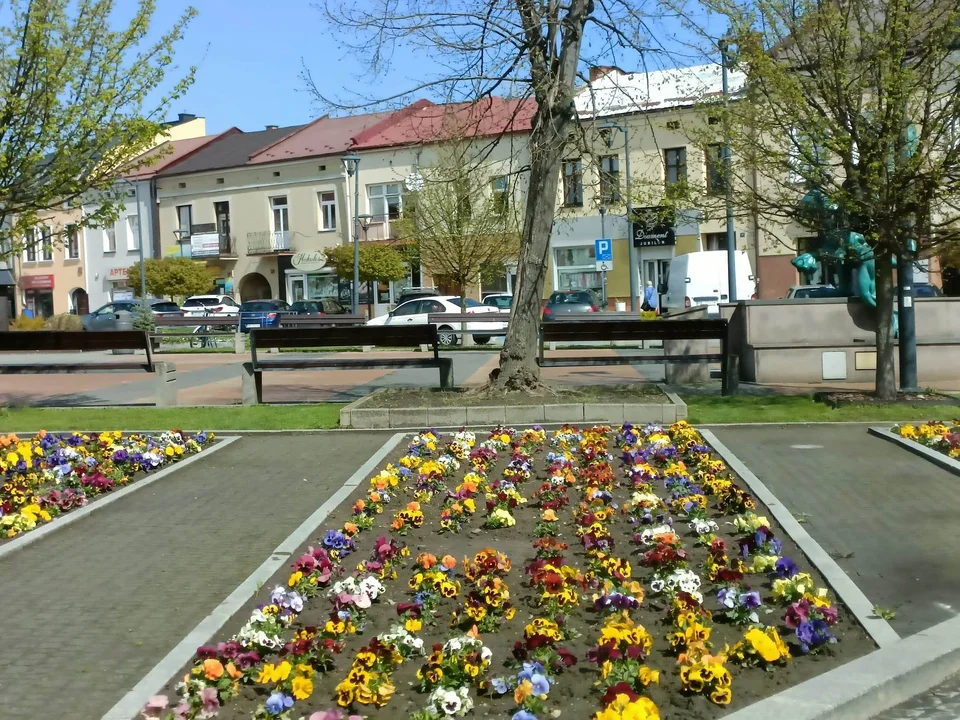 W Mielcu czuć już wiosnę. Tak mieszkańcy spędzają popołudnie