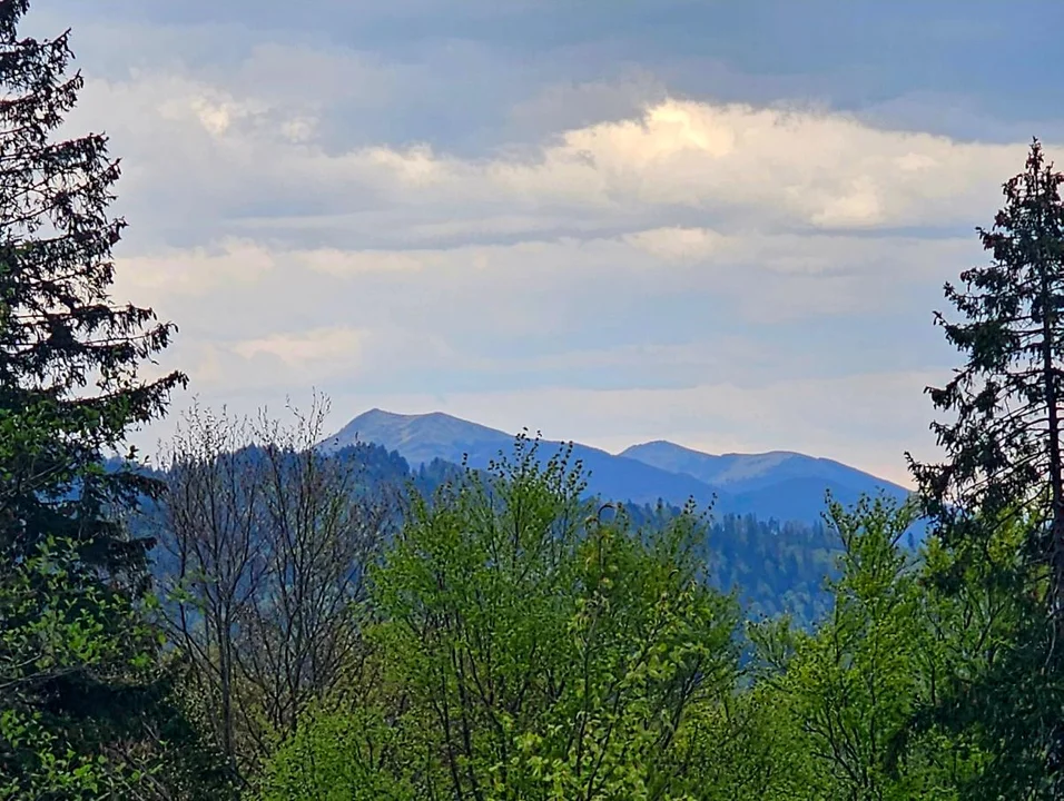 Stary Majdan Bieszczady