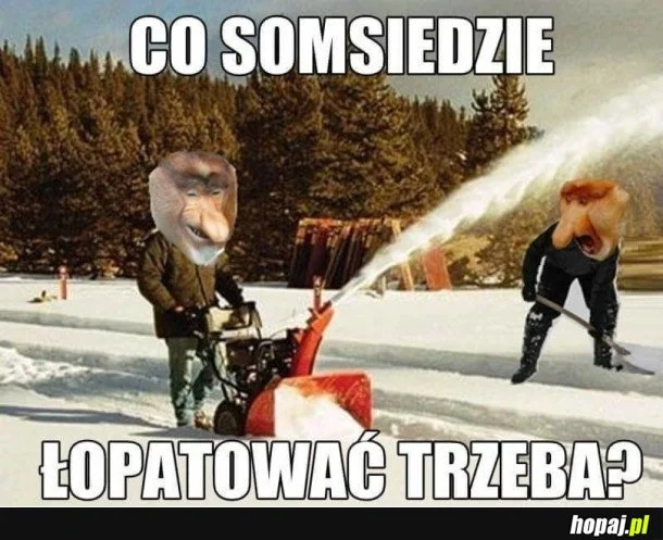 Memy o Bieszczadach