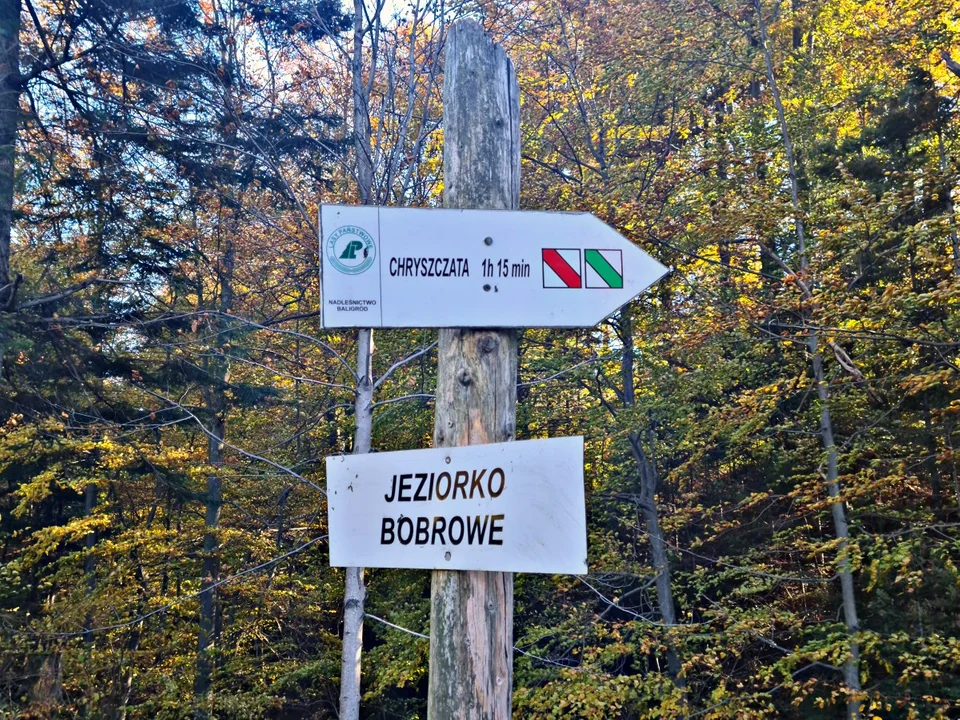 Drogowskaz Jeziorko Bobrowe