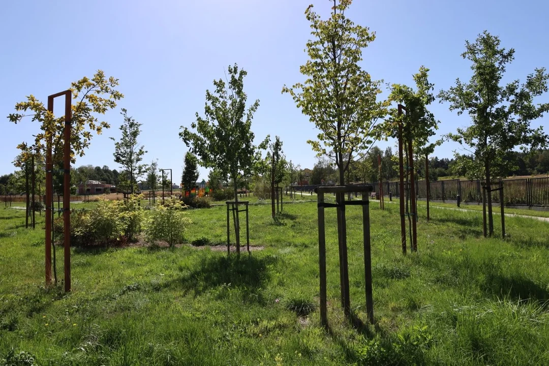 Park Niepodległości w Kolbuszowej - zdjęcia 2026