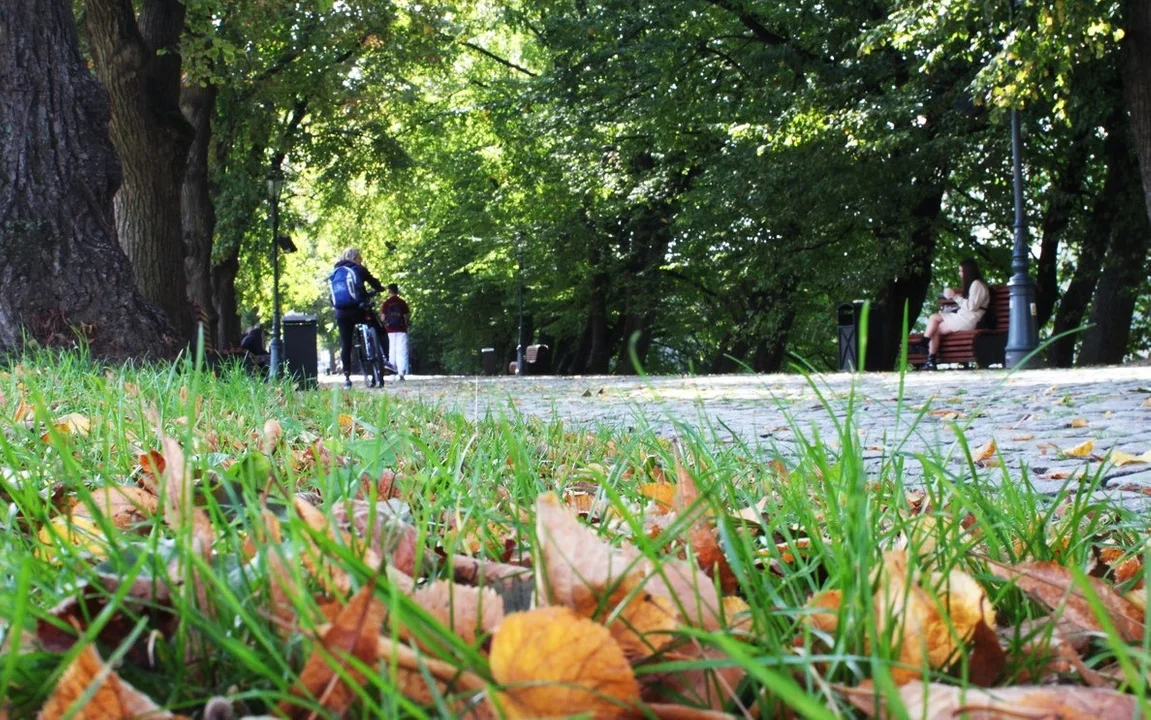 Jesień zawitała na rzeszowskie Bulwary