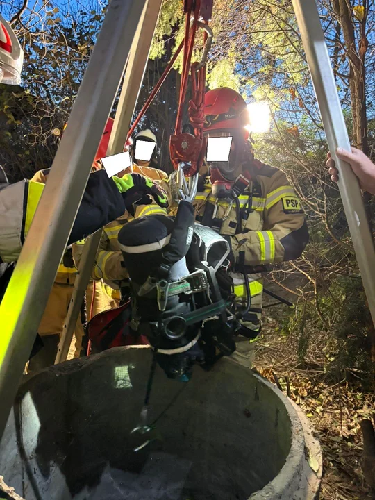 Koza wpadła do studni