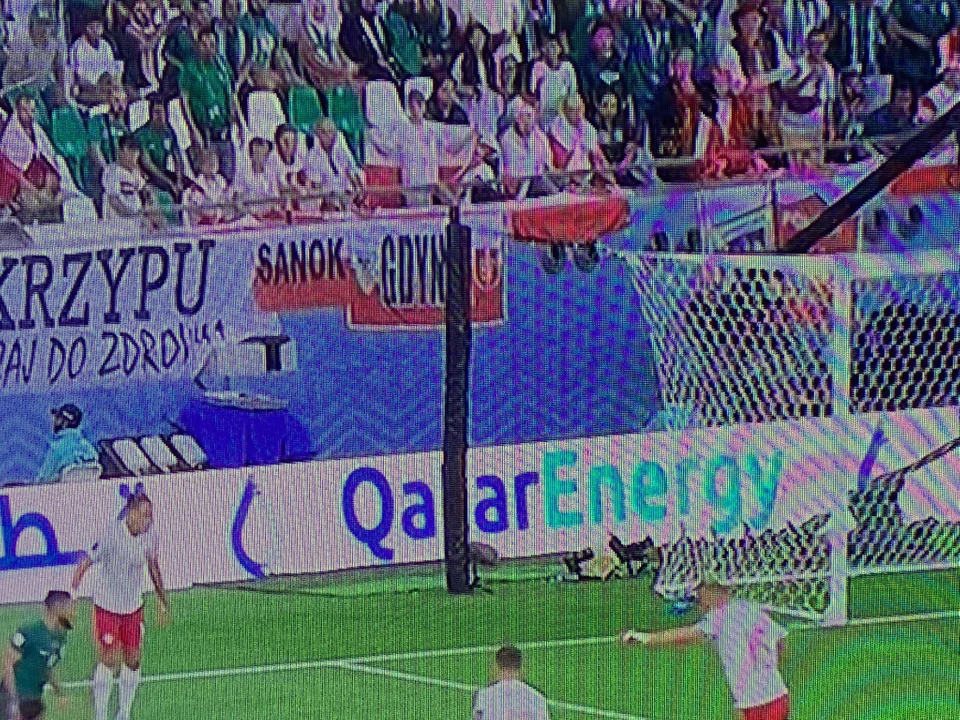 Kibice z Podkarpacia na meczu Polska - Arabia Saudyjska