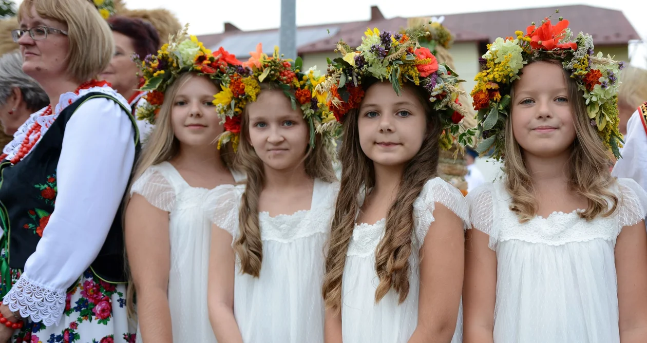 Wieńce żniwne, koncert, zabawa, czyli święto plonów w Czerminie [ZDJĘCIA] - Zdjęcie główne