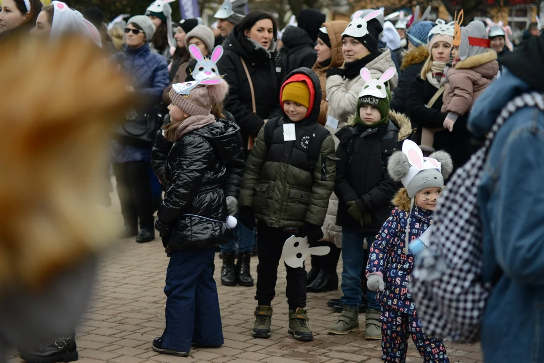 Rekord Polski dla Bartoszka Jędrasika chorego na SMA. W Tarnobrzegu zgromadziło się ponad 500 osób przebranych za króliki