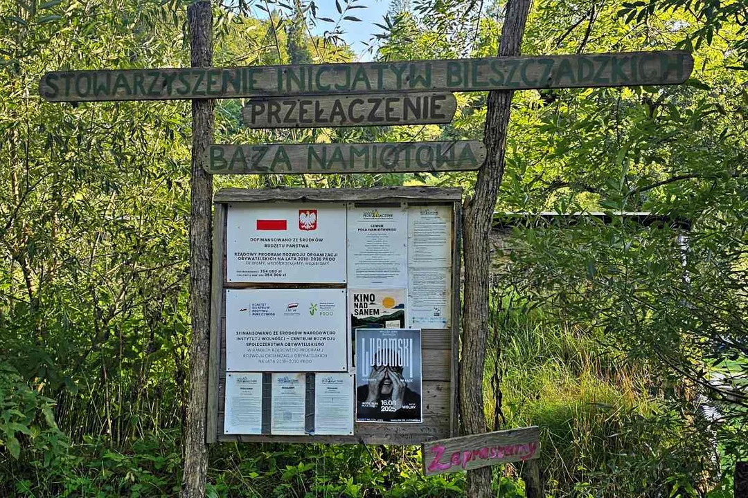Pole namiotowe w Dwerniku