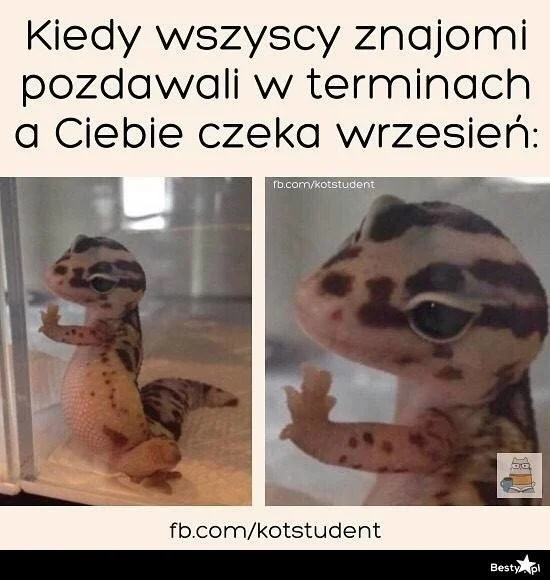 Najlepsze memy o studiach i studentach