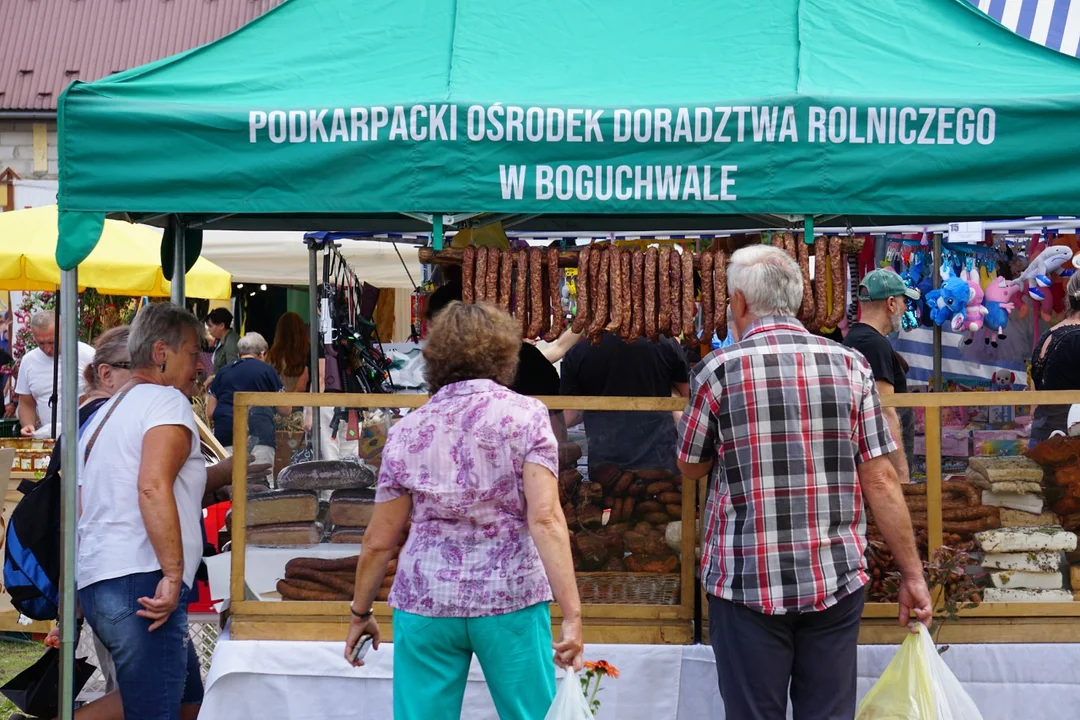 Agrobieszczady 2025