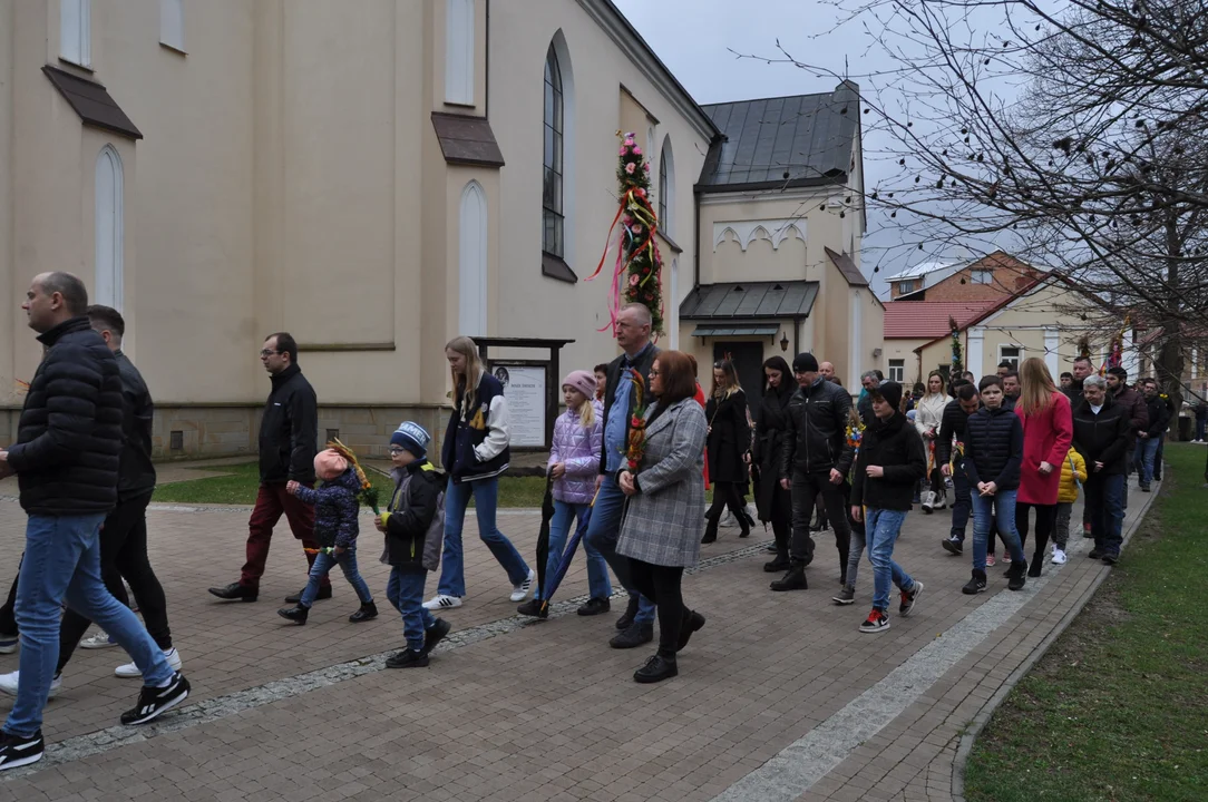 Parafianie w Przecławiu świętowali z pięknymi palmami własnego wykonania