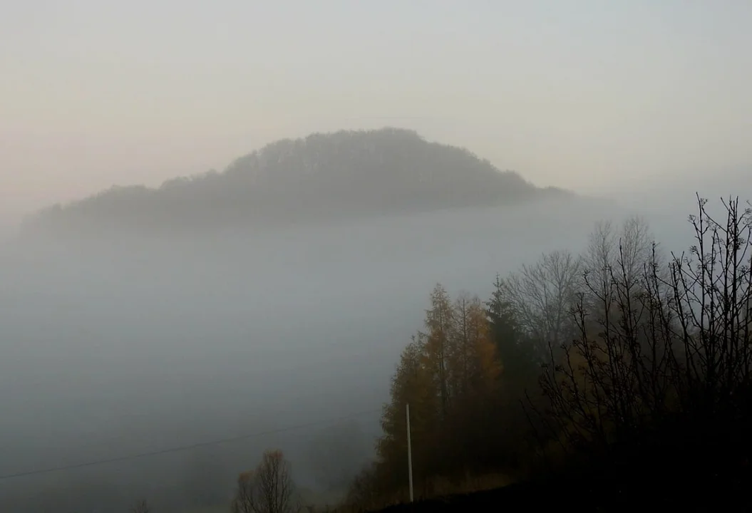 Terka późną jesienią