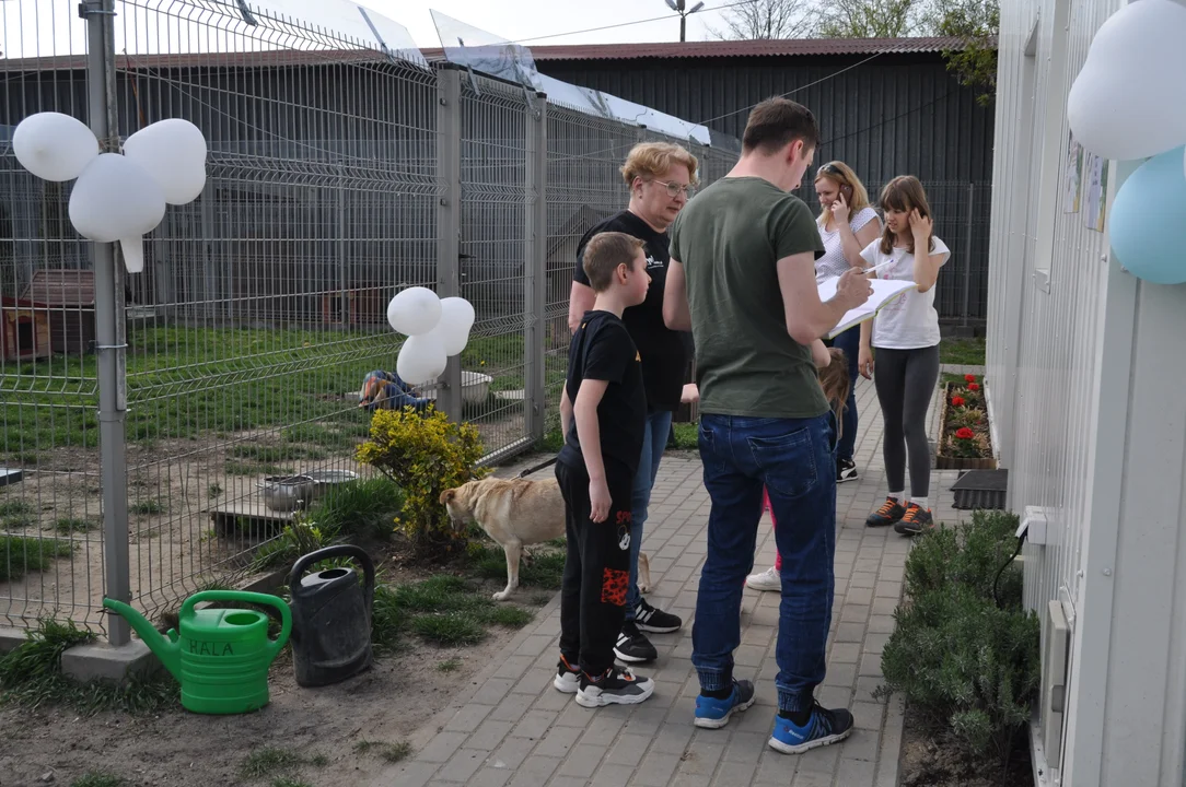 Szczęśliwy dzień dla psiaków, spacery i wyjście z klatek