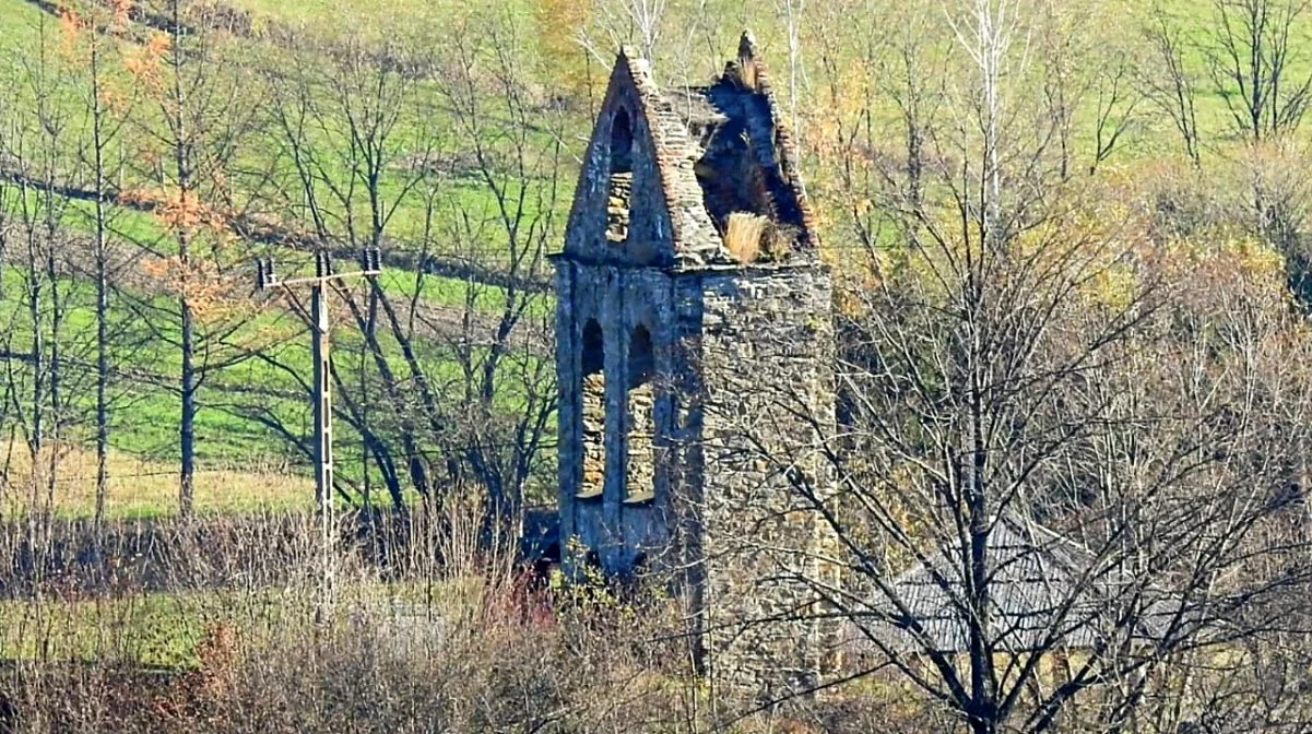 Terka późną jesienią