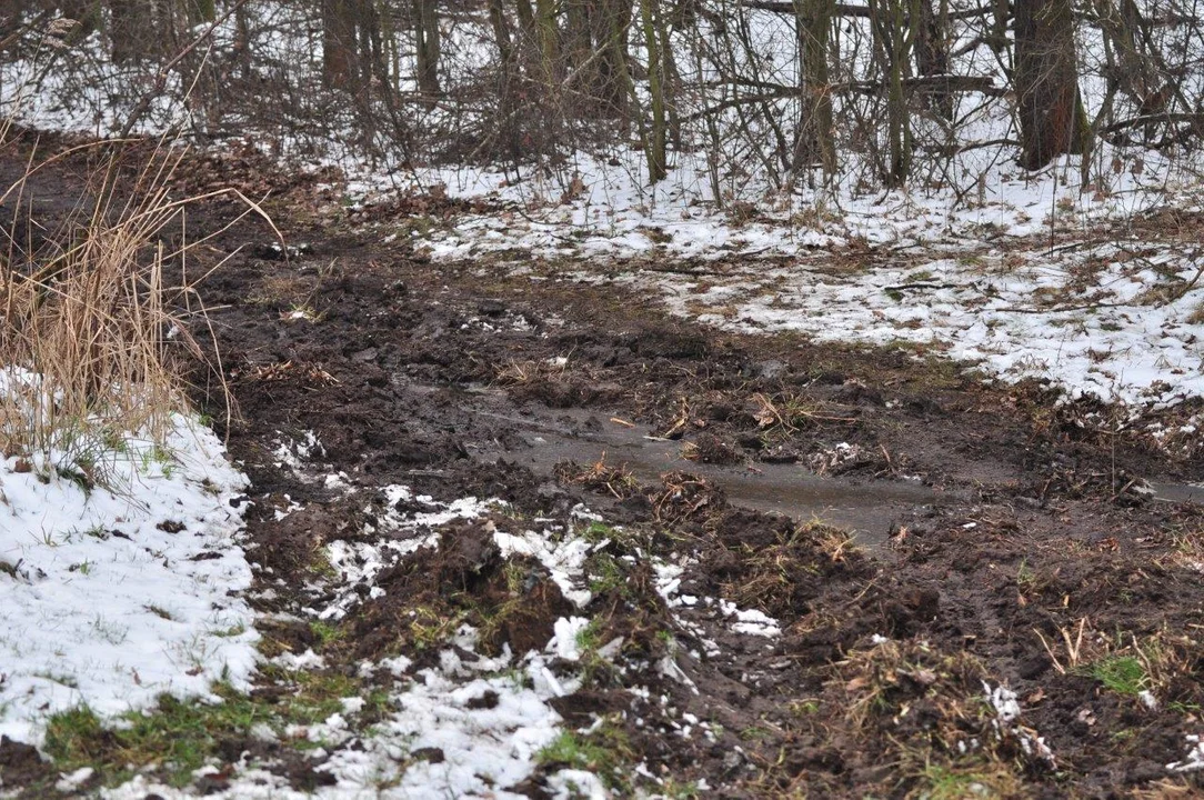 Pół dekady temu: Tragiczna śmierć w płomieniach w Trzęsówce