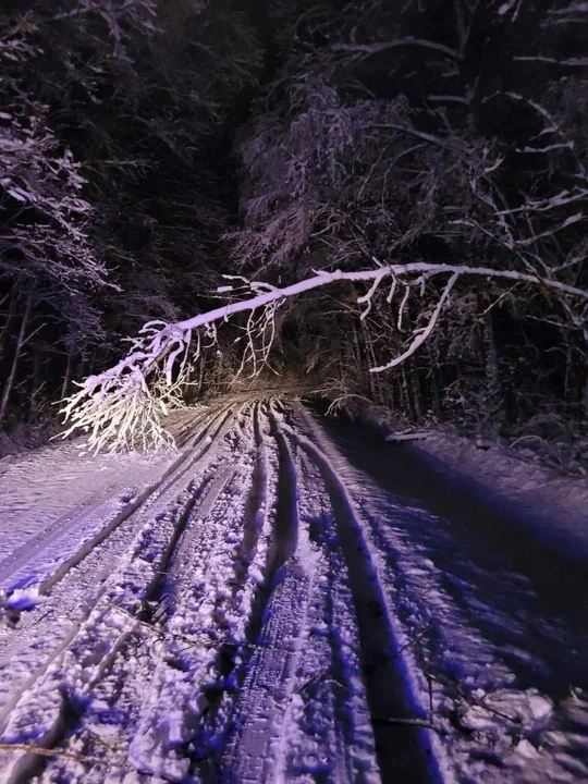 Śnieżyca w powiecie mieleckim