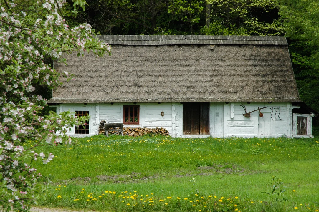 Sanocki skansen wiosną jest wyjątkowo piękny