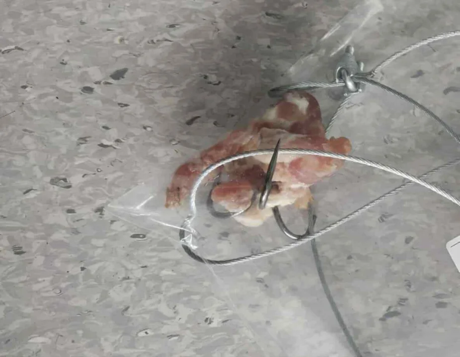 Hak
