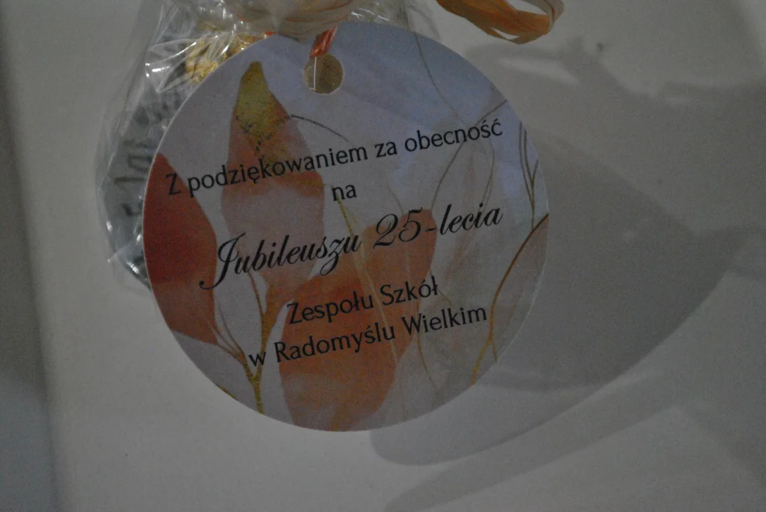 25-lecie ZS w Radomyślu Wielkim