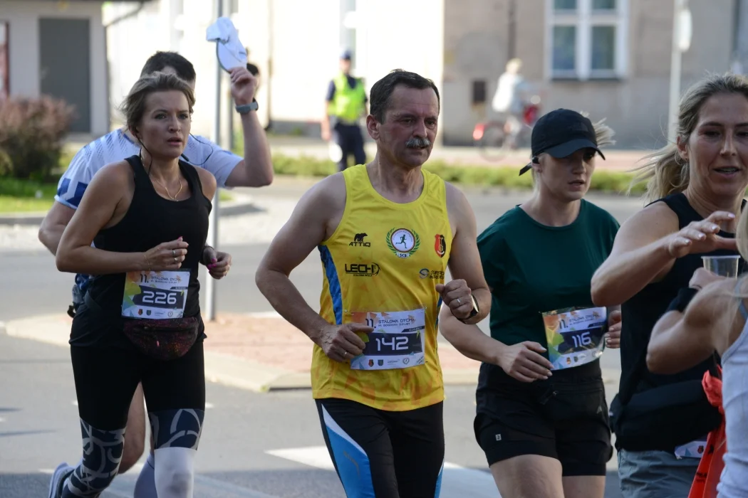 11. Stalowa Dycha im. Bogdana Dziuby w Stalowej Woli - zdjęcia z trasy
