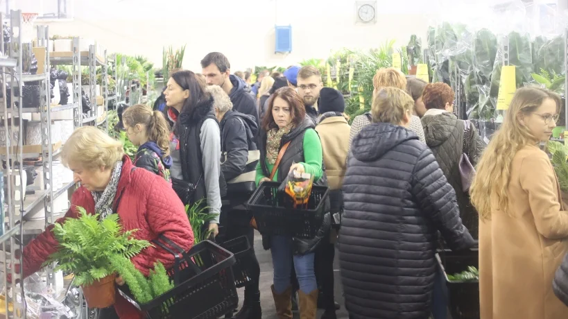 Tłumy ludzi na Festiwalu Roślin w Rzeszowie! [ZDJĘCIA, WIDEO]