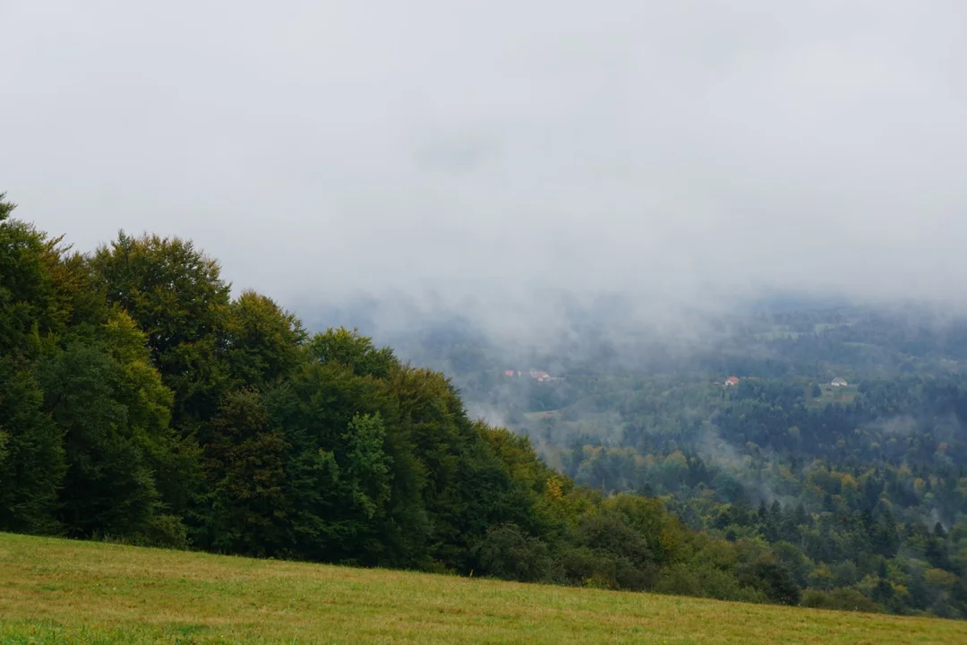 Mgły unoszą się nad Bieszczadami