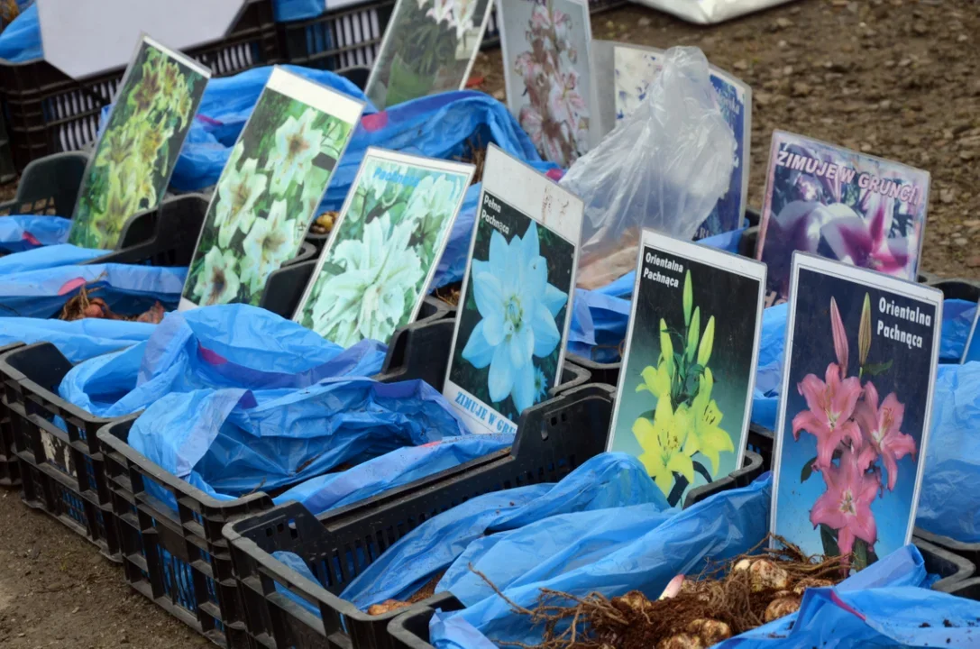 Bazar nad Sanem przed Wielkanocą