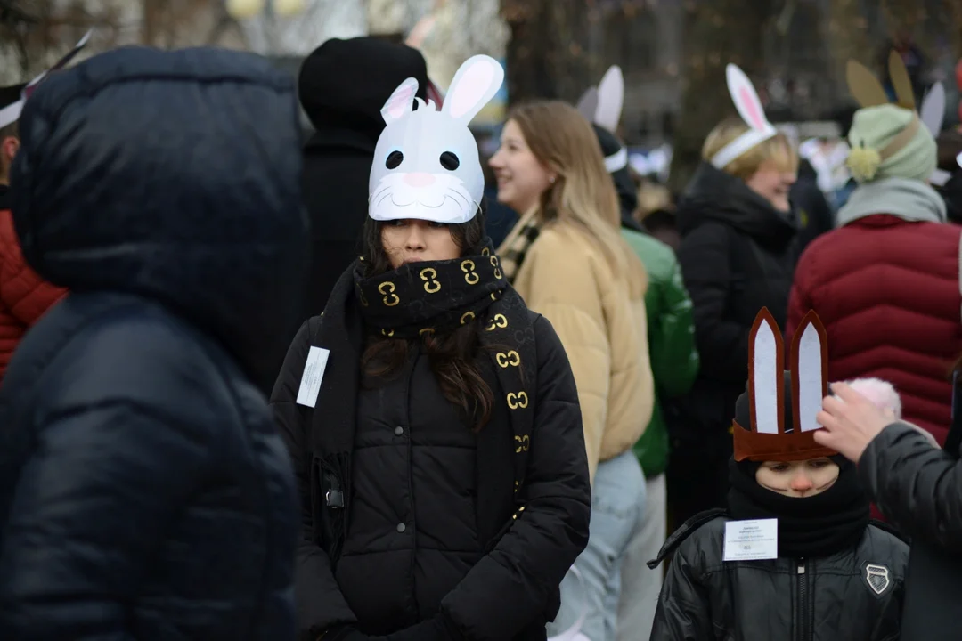 Rekord Polski dla Bartoszka Jędrasika chorego na SMA. W Tarnobrzegu zgromadziło się ponad 500 osób przebranych za króliki