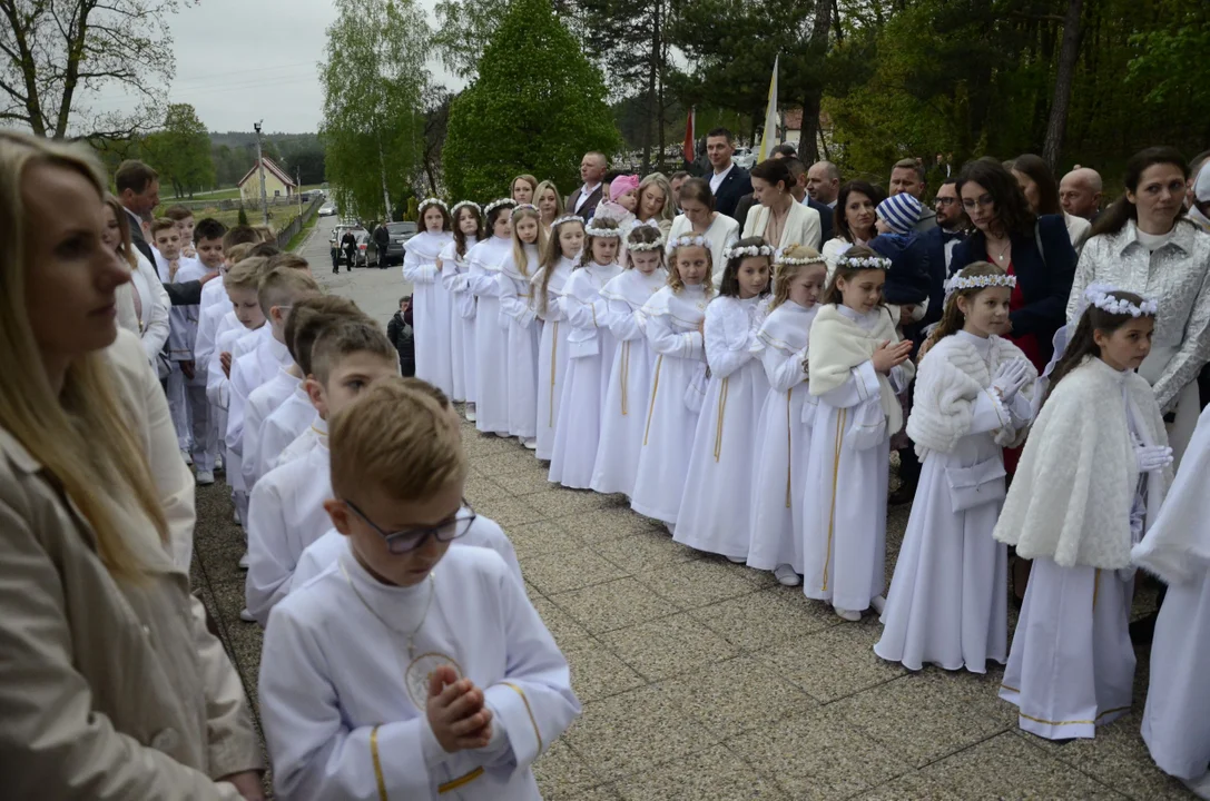 Pierwsza Komunia Święta - wyjątkowy moment w życiu dzieci i ich rodzin w parafii pw. św. Mikołaja w Niwiskach [ZDJĘCIA] - Zdjęcie główne