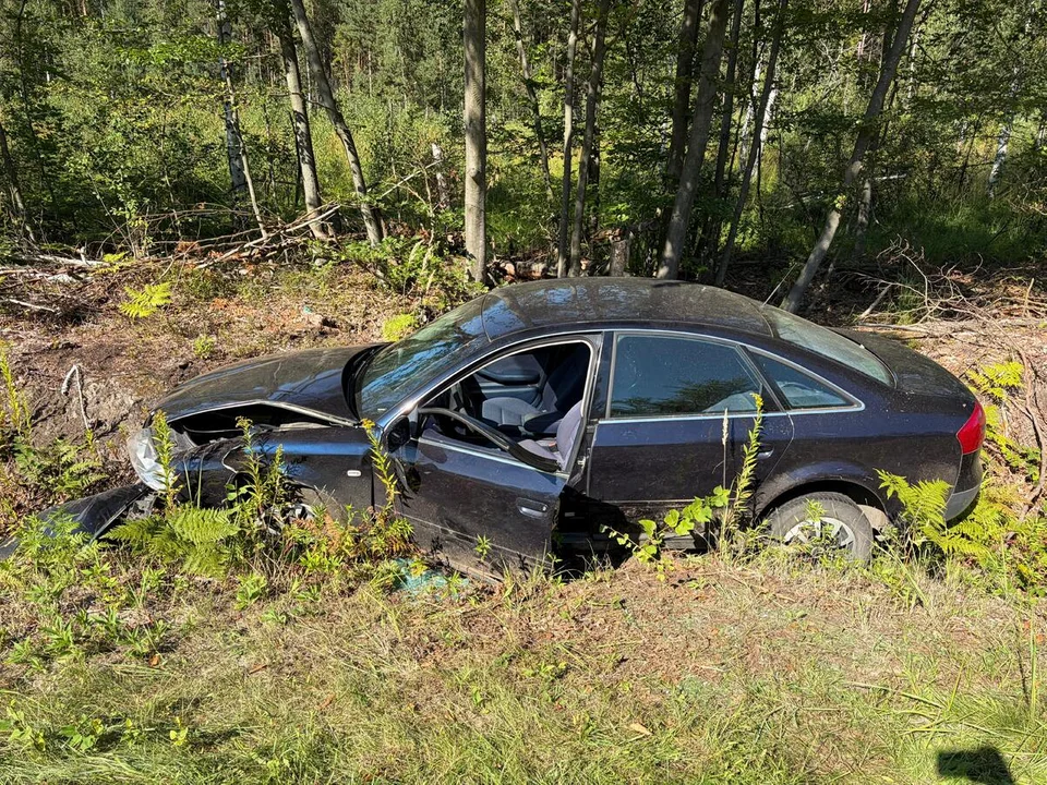 Spotkanie z dziką zwierzyną