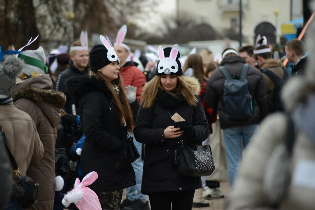 Rekord Polski dla Bartoszka Jędrasika chorego na SMA. W Tarnobrzegu zgromadziło się ponad 500 osób przebranych za króliki