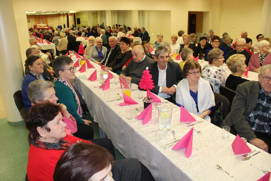 Tak świętowali seniorzy z gminy Borowa [ZDJĘCIA] - Zdjęcie główne